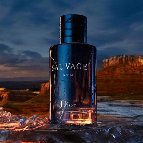 eau de parfum dior sauvage 100 ml|dior eau sauvage parfum 100ml.